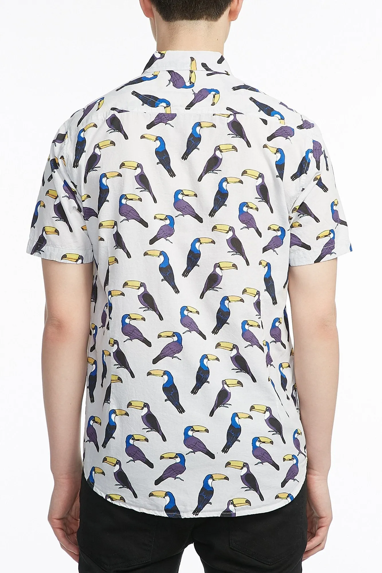 Guys Chambray Parrot Button Up Shirt