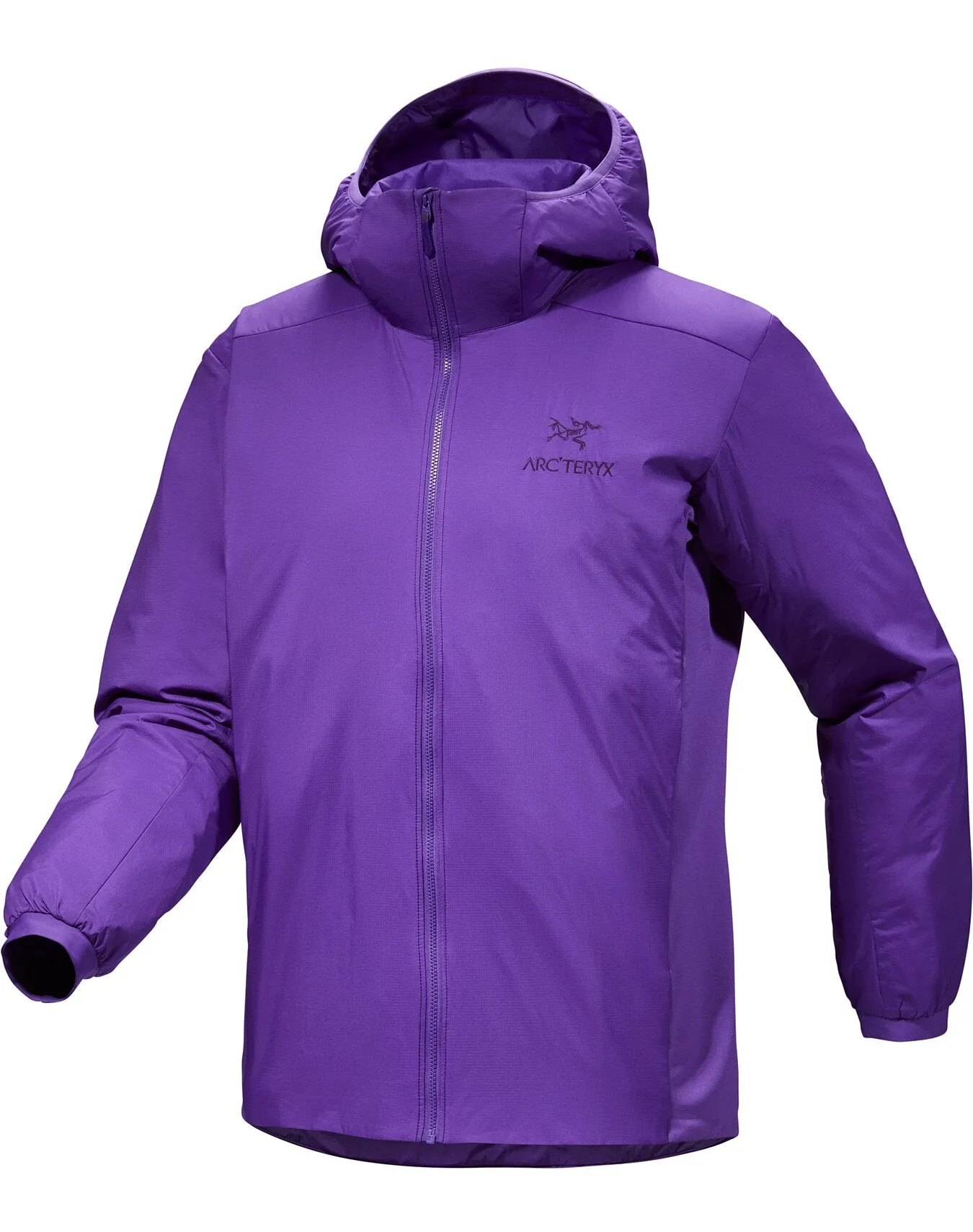 Men's Atom Hoody (Past Season)